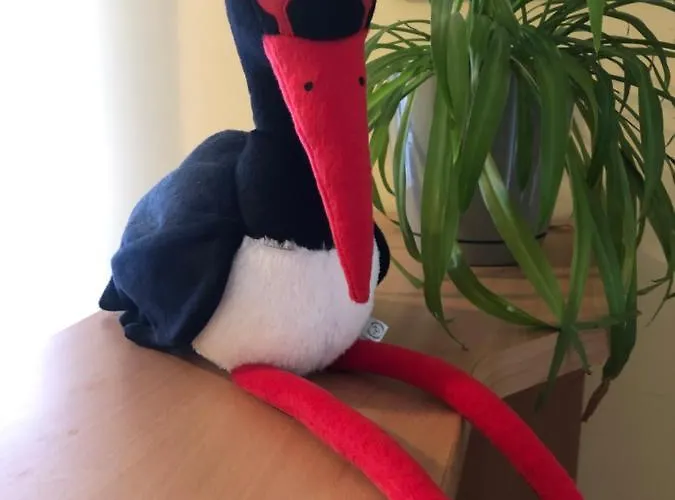 Leśny Dwór 3* Mielno (Koszalin)